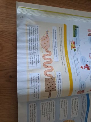 BIOLOGIA, GEOLOGIA ETA INGURUMEN ZIENTZIAK 1 BT...
