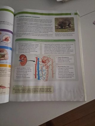 BIOLOGIA, GEOLOGIA ETA INGURUMEN ZIENTZIAK 1 BT...
