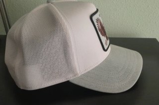 Gorra Goorin Bros