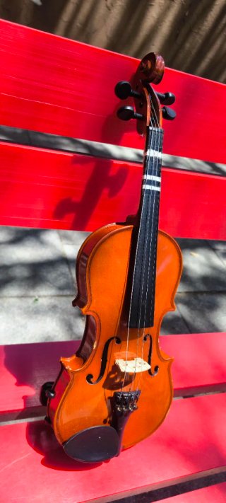 Violín Palantino Infantil  con estuche y sin Arco