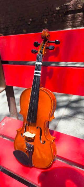 Violín Palantino Infantil  con estuche y sin Arco