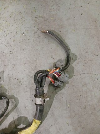 Cableado motor OBD1 Honda Civic EG5
