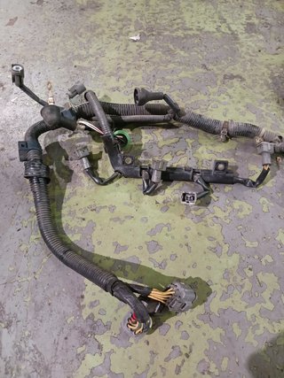 Cableado motor OBD1 Honda Civic EG5