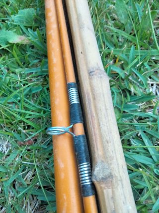 Cañas de pescar y carretes