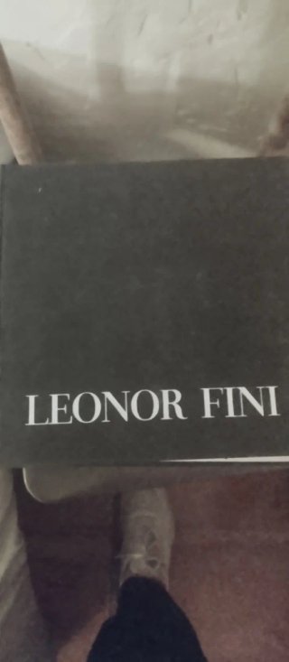 Libro Chats d'Atelier Leonor Fini