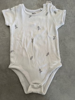 Set 5 body bimbo