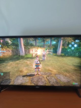 Zelda Twilight Princess (Wii U)