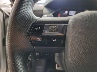 DS 3 Crossback PureTech PERFORMANCE LINE AUTO