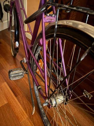 Bicicleta Paseo Crescent Vintage
