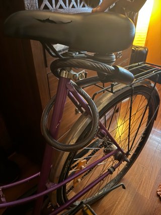 Bicicleta Paseo Crescent Vintage