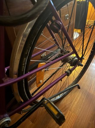 Bicicleta Paseo Crescent Vintage