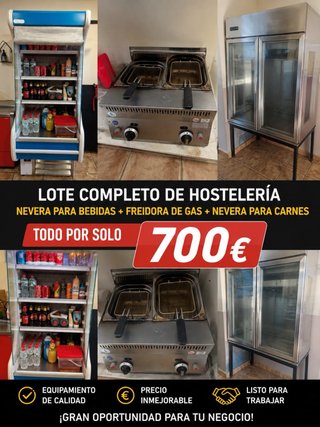 Lote Hostelería: Nevera, Freidora, Nevera Carne