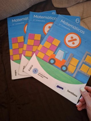 Lote de libros de 6 primaria