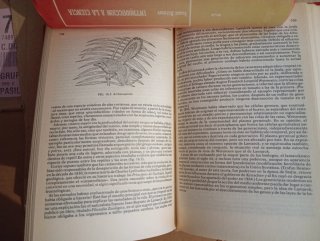 Introducción a la ciencia por Isaac Asimov