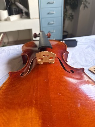 Violín 4/4 Antonio Wang
