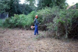 Desbroce y limpieza de fincas en A Coruña