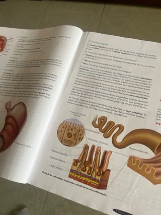 Biología y Geología 3º ESO. Libro del estudiant...