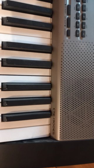 Teclado Casio CTK-1300ES
