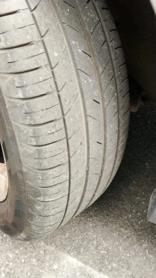 Opel Signum signum 2003