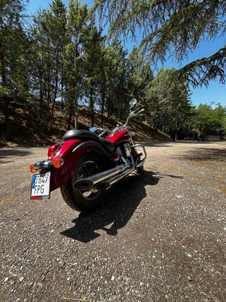 Kawasaki VN900 A2