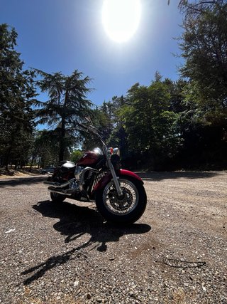 Kawasaki VN900 A2