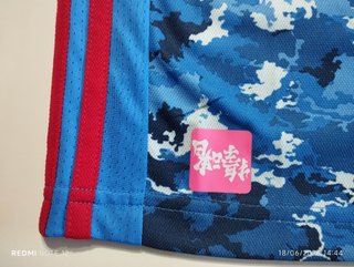 Camiseta Japón 2020-21 (Talla M, original)