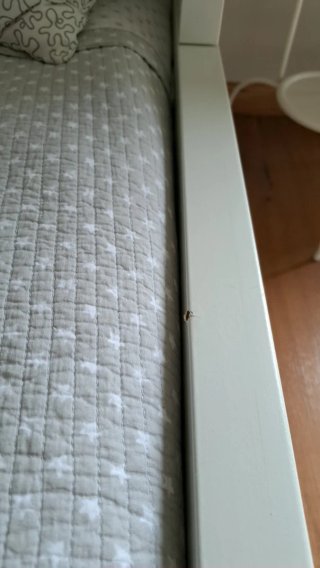 Cama infantil blanca