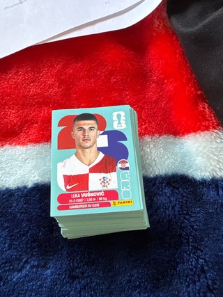 Cromo Panini Luka Vušković Mundial 2026