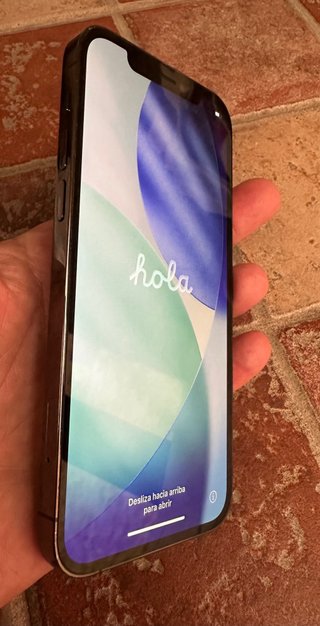 iPhone 12 Pro 256GB Grafito
