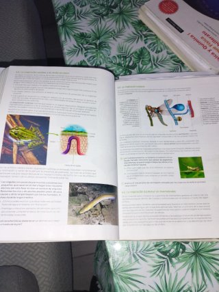 Biología y geología 1° bachillerato