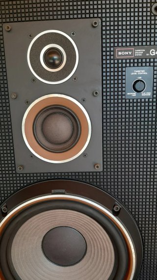 Altavoces Sony G4