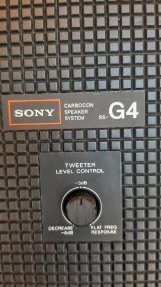 Altavoces Sony G4