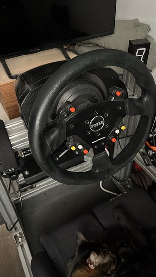 Volante Thrustmaster Sparco 383