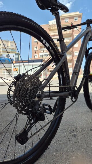 Bicicleta de Montaña Gris