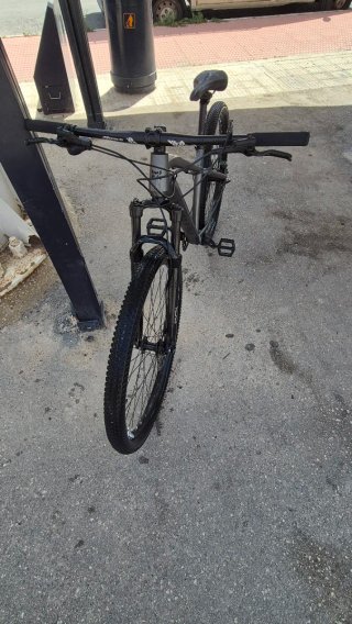 Bicicleta de Montaña Gris