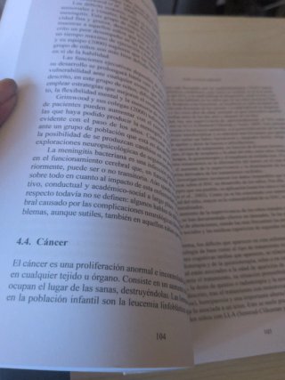 Neuropsicología del desarrollo
