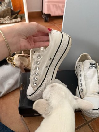 Converse Chuck Taylor All Star Blancas