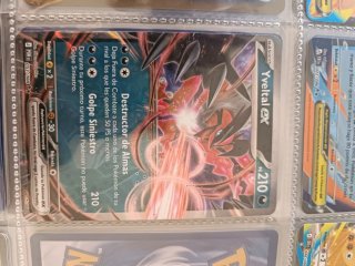 Yveltal EX Carta Pokémon 053/088
