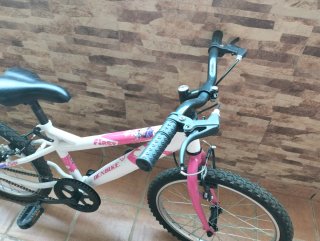 Bicicleta infantil DENBIKE First 20 negoziabile