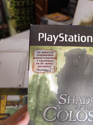 Shadow of the Colossus PS2 Completo
