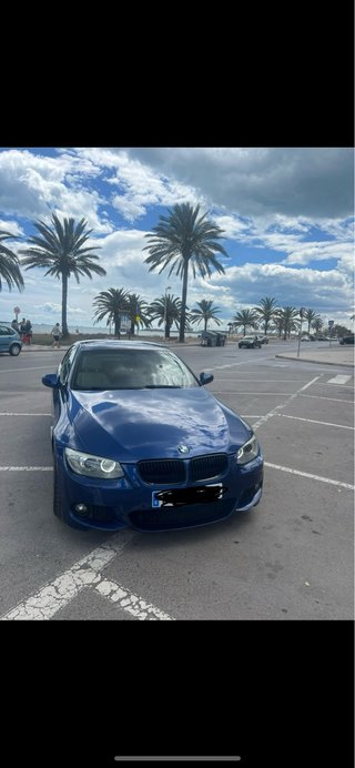 BMW Serie 3 2010
