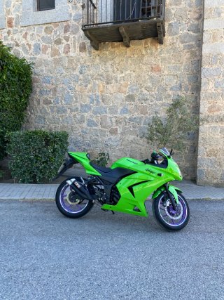 Kawasaki Ninja 250R
