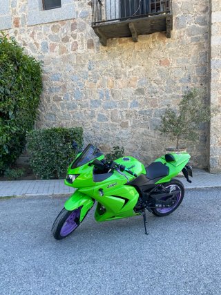 Kawasaki Ninja 250R