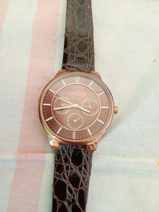 Orologio Skagen Uomo Pelle Marrone Oro