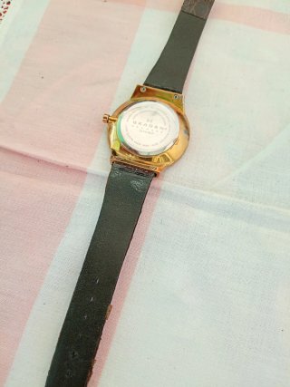 Orologio Skagen Uomo Pelle Marrone Oro