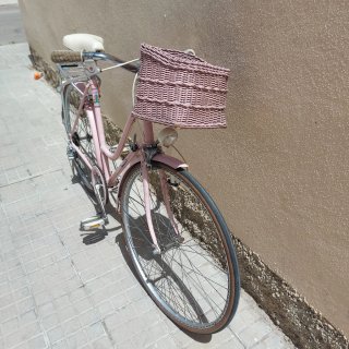 Bicicleta Orbea Clásica Paseo Rosa modelo Alondra