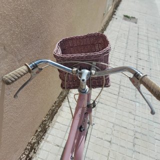 Bicicleta Orbea Clásica Paseo Rosa modelo Alondra