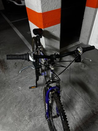Bicicleta de Montaña Globe Trotter