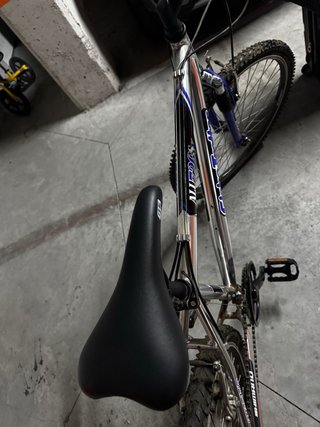 Bicicleta de Montaña Globe Trotter