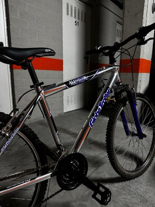 Bicicleta de Montaña Globe Trotter